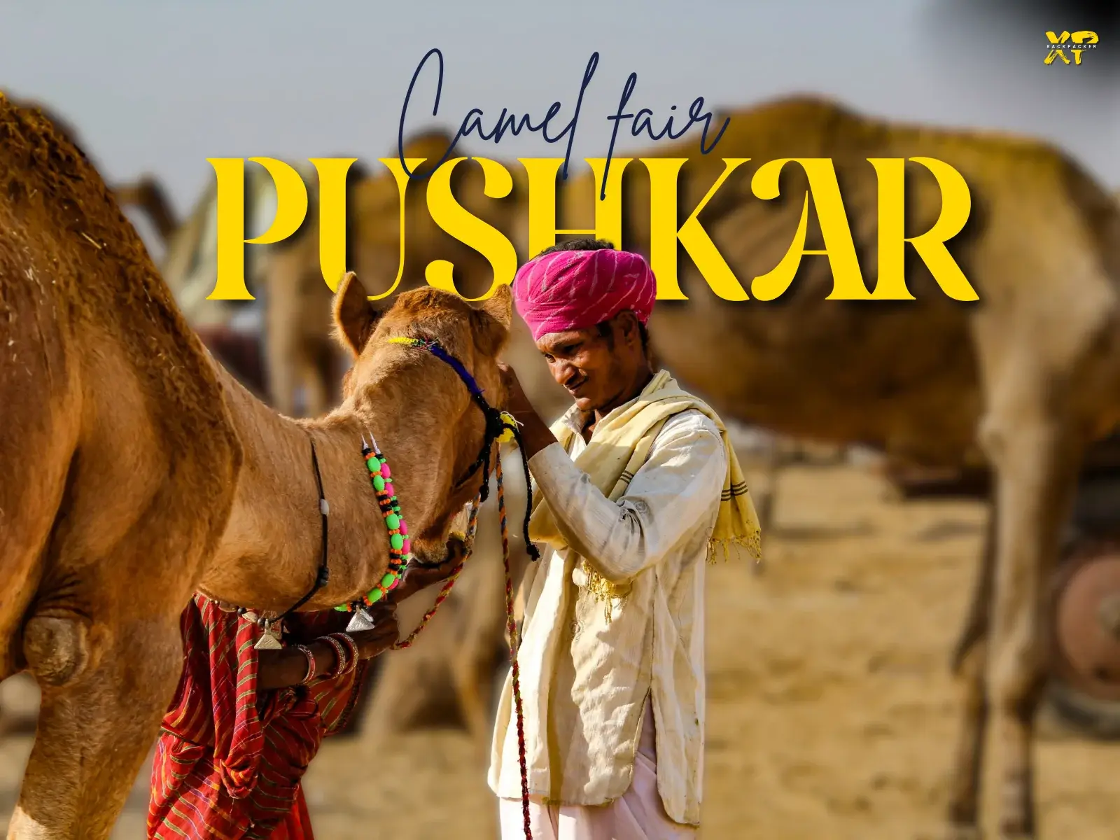 Pushkar Desert Sky Adventure Mini-Pass